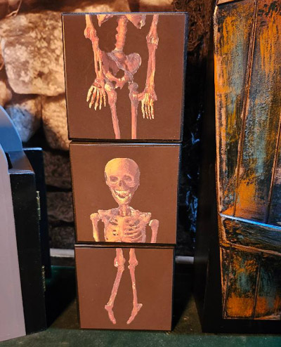 SKELETON/ZOMBIE IN THE COFFIN